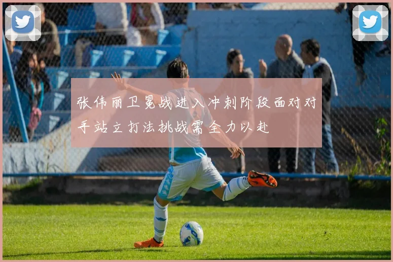 张伟丽卫冕战进入冲刺阶段面对对手站立打法挑战需全力以赴