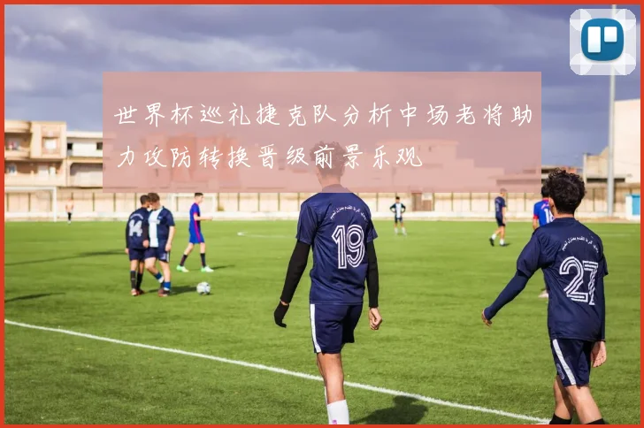 世界杯巡礼捷克队分析中场老将助力攻防转换晋级前景乐观